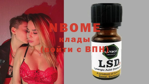 хмурый Алзамай
