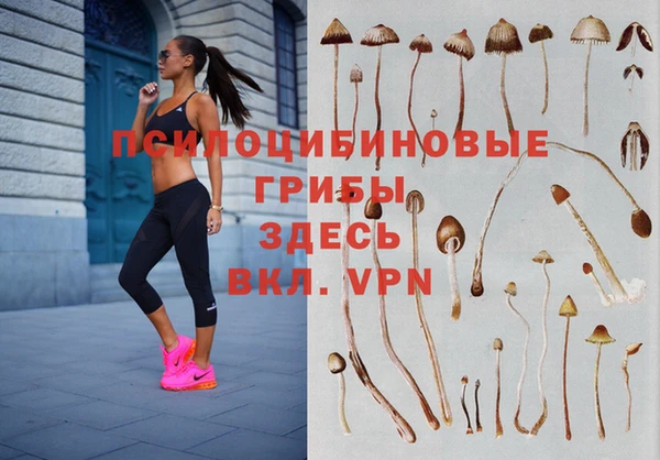 хмурый Алзамай