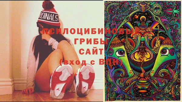 дмт Алексин
