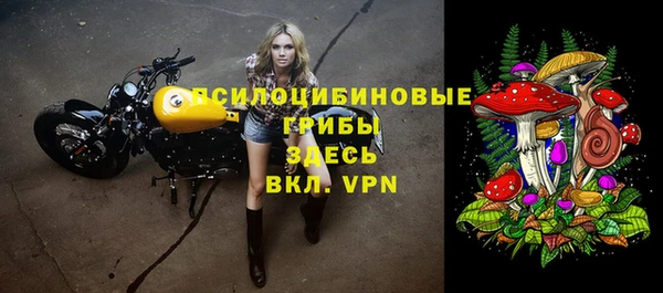 хмурый Алзамай